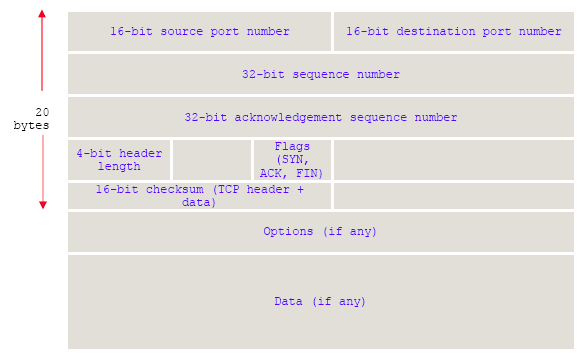 TCP+IPData