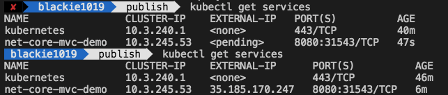 kubectl_service